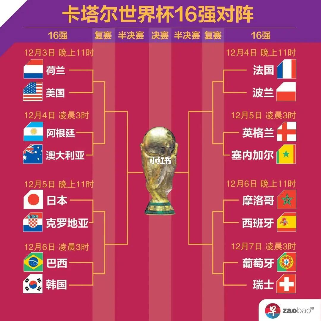 法国杯